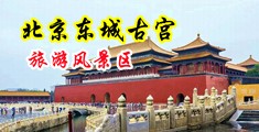 美美jj啊啊啊中国北京-东城古宫旅游风景区